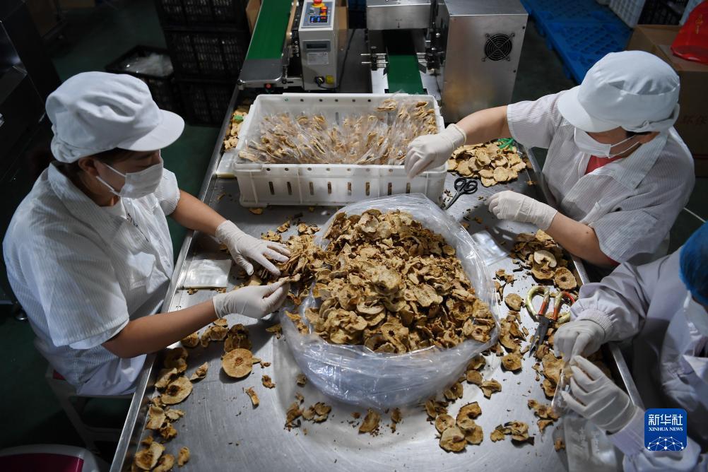 赢现金的游戏